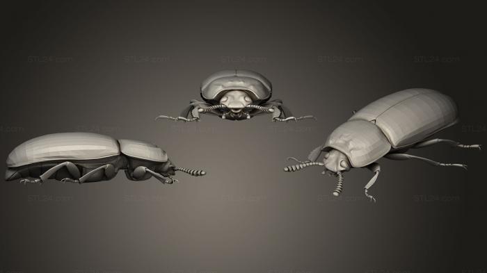 Насекомые (Жуки-насекомые 113, INSCT_0058) 3D модель для ЧПУ станка